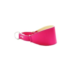 Youpet Collar Galgo Marting Bco 35-45 L450 A80 1un