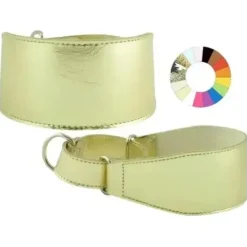 Youpet Collar Galgo Marting Estre Rj 25-35 L350 A60 1un