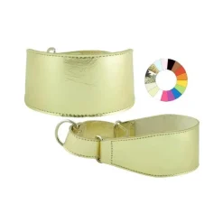 Youpet Collar Galgo Marting Estre Rj 25-35 L350 A60 1un