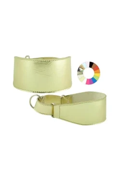 Youpet Collar Galgo Marting Estre Az 25-35 L350 A60 1un
