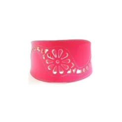 Youpet Collar Galgo Marting Filig Fuc 35-45 L450 A80 1un