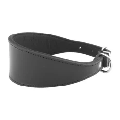 Youpet Collar Galgo Ng 22-32 L350 A50 1un