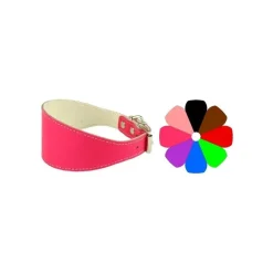 Youpet Collar Galgo Oro 22-32 L350 A50 1un