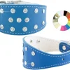 Youpet Collar Galgo Piccolo Fant 22-32cm 1 ud