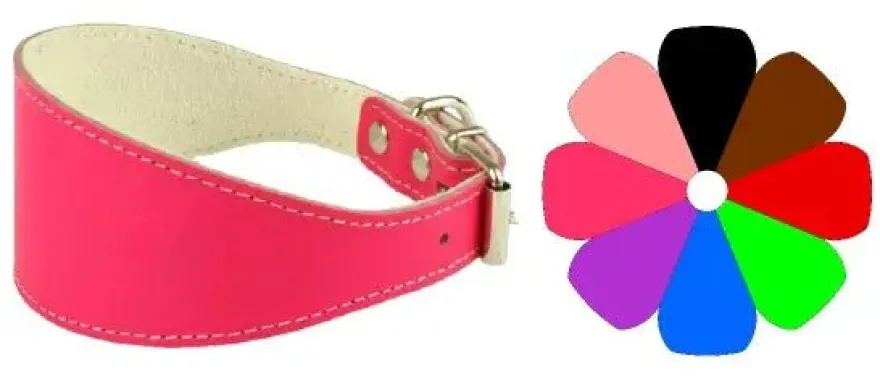 Youpet Collar Galgo Pt 26-36 L400 A55 1un