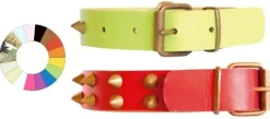 Youpet Collar Leather Class Co1F Vl 54-63 L700 A40 1un