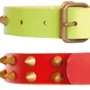 Youpet Collar Leather Class Co1F Vl 39-48 L550 A30 1un