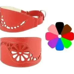 Youpet Collar Leather Galgo Marting Rj 25-35 L350 A80 1un