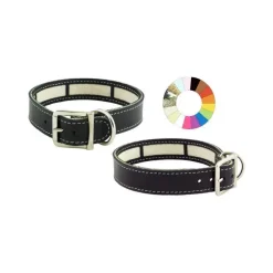 Youpet Collar Little Carrier Verde 19/22 L250 A22 1un