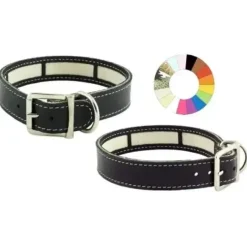 Youpet Collar Little Carrier Oro 29/32 L350 A22 1un