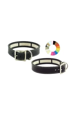 Youpet Collar Little Carrier Mimt 19/22 L250 A22 1un