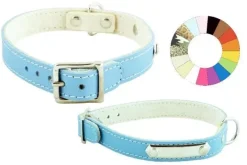Youpet Collar Little Chapa Pt 18-22 L250 A14 1un