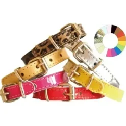 Youpet Collar Little Charol Fucxia 38-42 L450 A22 1un