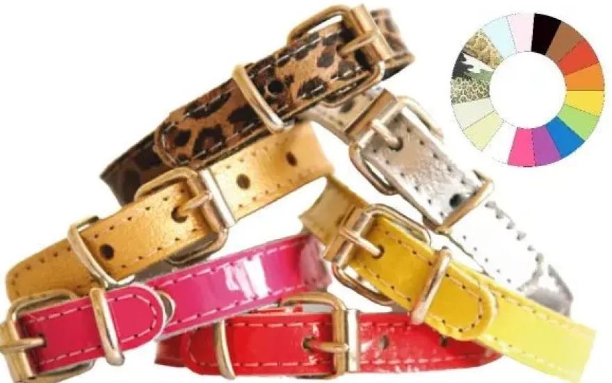 Youpet Collar Little Charol Ámbar 18-22cm