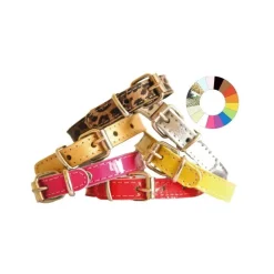 Youpet Collar Little Charol Violeta 14-17 L200 A14 1un