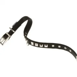 Youpet Collar Little Co1F Az 14-17 L200 A14 1un