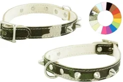 Youpet Collar Little Co1F Ng 33-37 L400 A16 1un