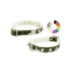 Youpet Collar Little Fant Bco 43-47 L500 A22 1un