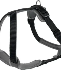 Youpet Collar Little Fant Nj 33-37 L450 A22 1un