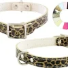 Youpet Collar Little Ver 14-17 L200 A14 1un
