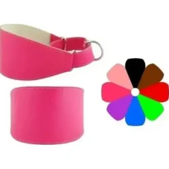 Youpet Collar Marting Leop 25-35 L350 A30 1un