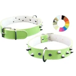 Youpet Collar Mountain Co3F Azul 44-53 L600 A30 1un