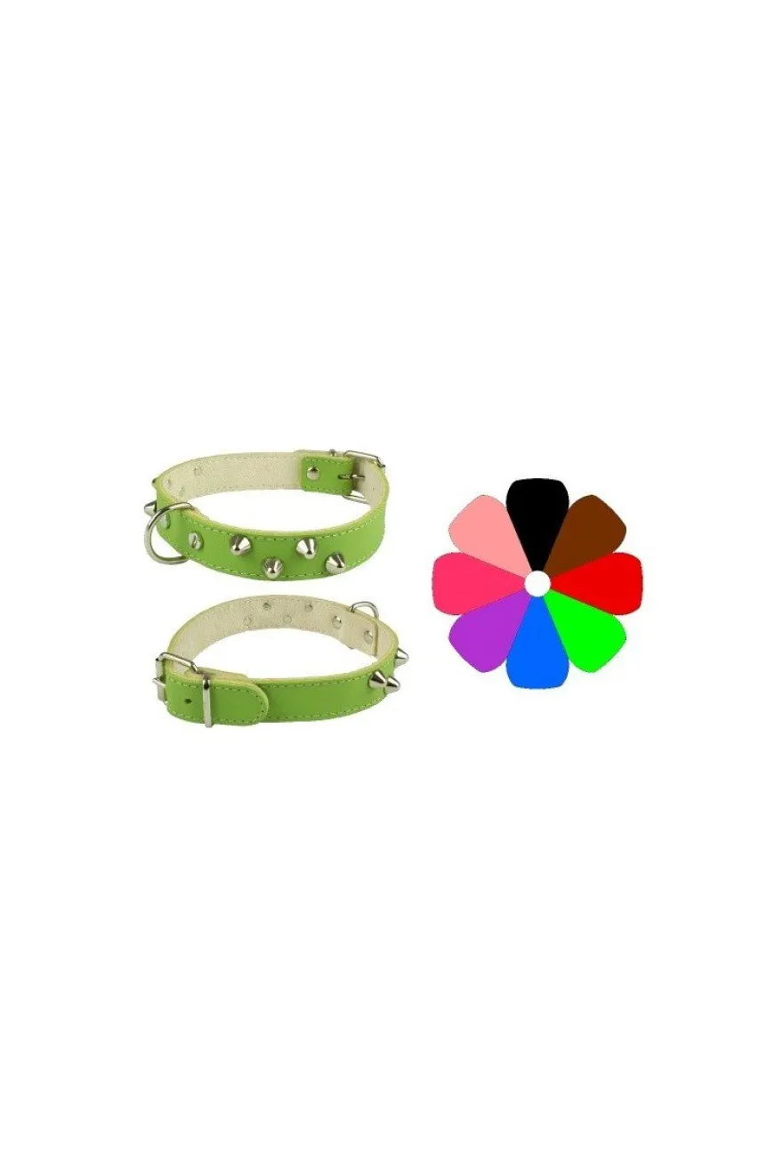 Youpet Collar Mountain CO2F BCO Mediano 100g