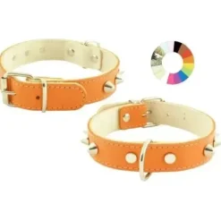 Youpet Collar Mountain Co1F Blanco 30-36 L400 A25 1un