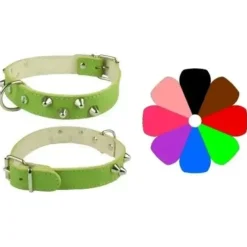 Youpet Collar Mountain Co2F Oro 54-63 L700 A35 1un