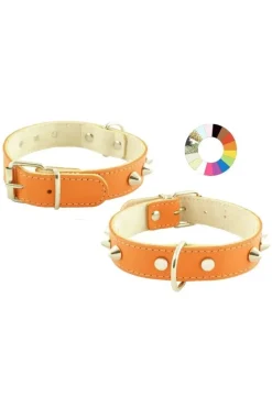 Youpet Collar Mountain CO1F RJ Variado 39-48 cm 1un