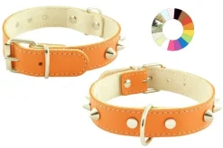 Youpet Collar Mountain CO1F RJ Variado 39-48 cm 1un
