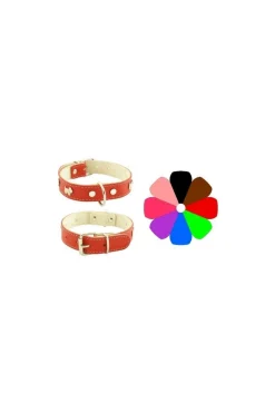 Youpet Collar Mountain Westy L700 A35 100g
