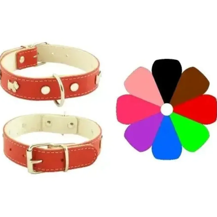 Youpet Collar Mountain Westy L700 A35 100g