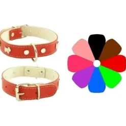 Youpet Collar Mountain Westy Oro 44-53cm 0.1kg