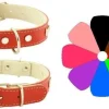 Youpet Collar Mountain Westy Ajustable 600g