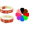 Youpet Collar Mountain Westy 35-41cm 1 ud