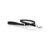 Youpet Correa Elements Negro A18 L110 1un