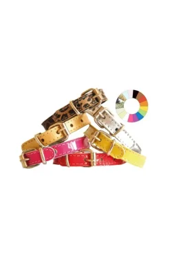 Youpet L200 A14 Collar para Perros 0,1kg