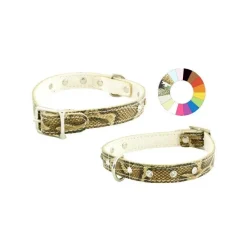 Youpet Little Fant Oro Arnés para Mascotas 1 ud