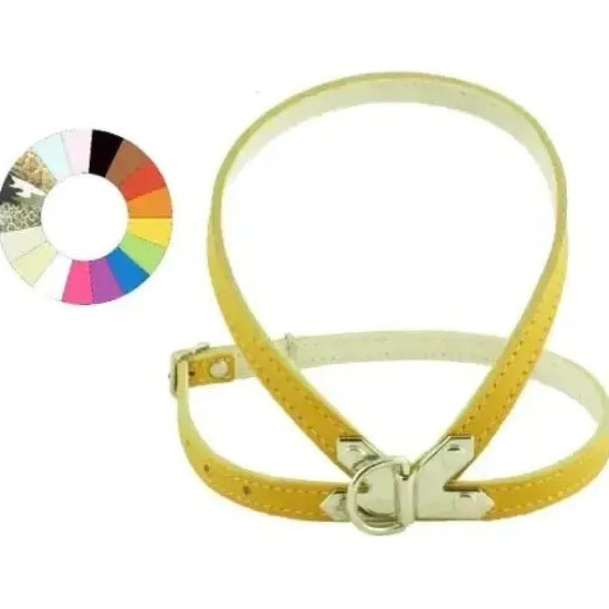 Youpet Petral Blanco C350 A12 P500 1un