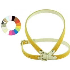 Youpet Petral Fant Oro C350 A12 P500 1un