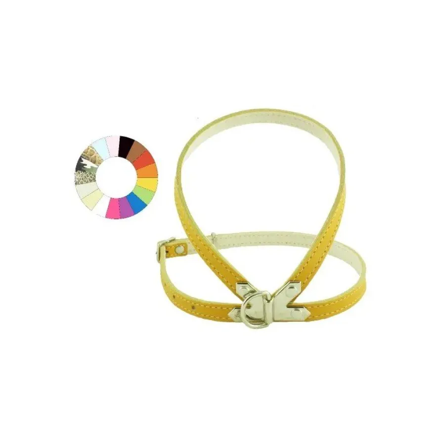 Youpet Petral Oro C300 A12 P450 1un