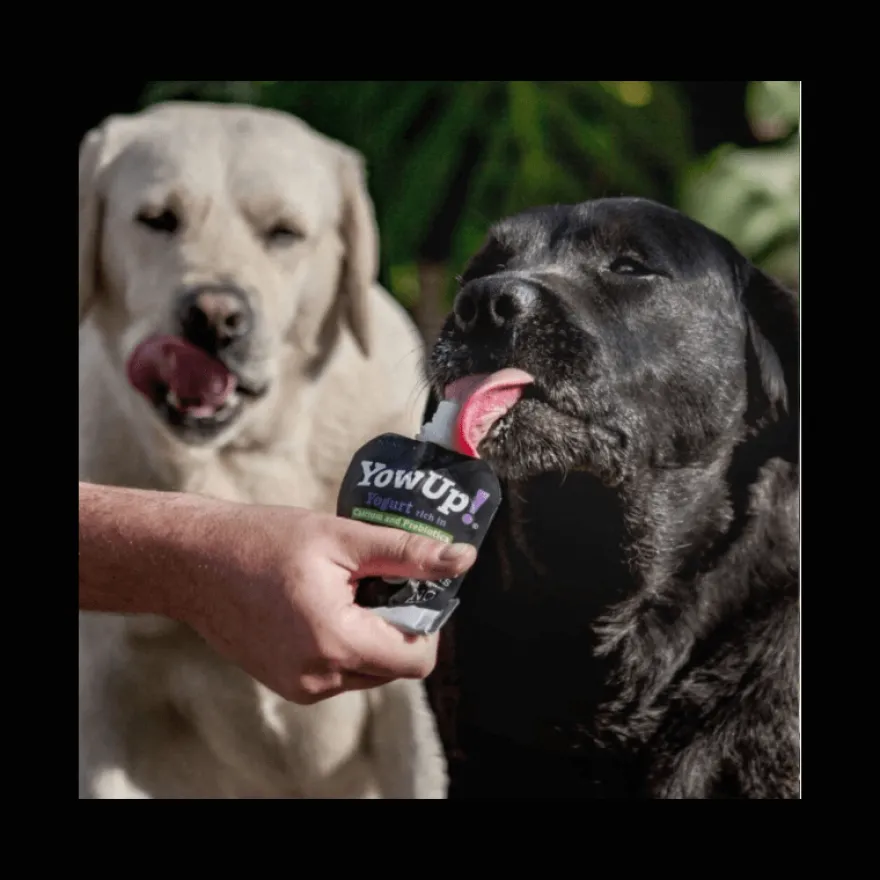 YowUp Yogurt Natural Prebiotics Perros 115 g Pack 3 ud