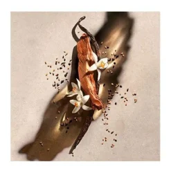 Zadig & Voltaire Zadig Eau de Parfum Recargable 50 ml