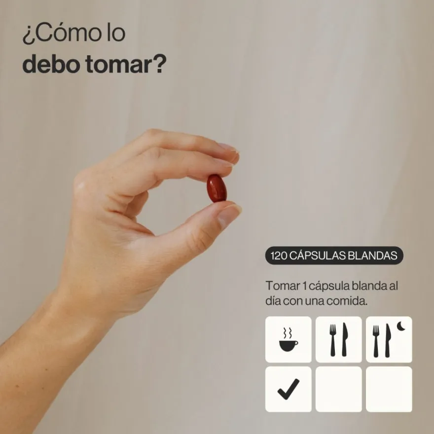 Zenement CoQ10 200 mg 120 cápsulas