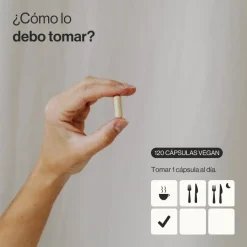 Zenement Melena de León Ecológica 120 cápsulas